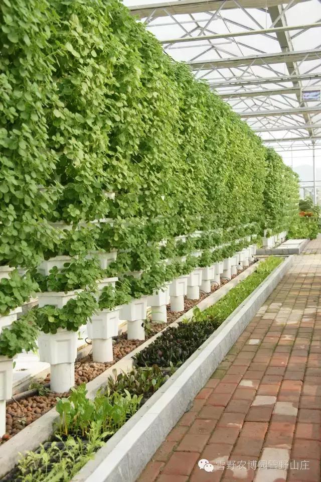 感恩教师节景区活动,感恩教师节门票优惠政策