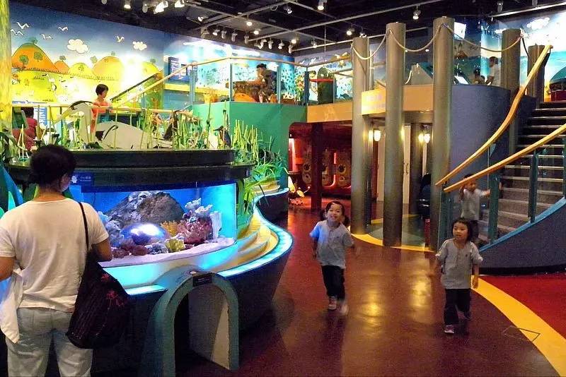 香港|两日一夜,不出沙田到底怎么玩