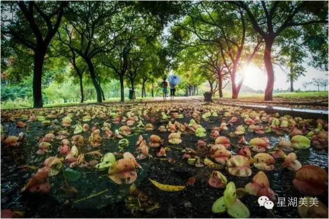 广东肇庆风水大势分析,肇庆风水大揭秘