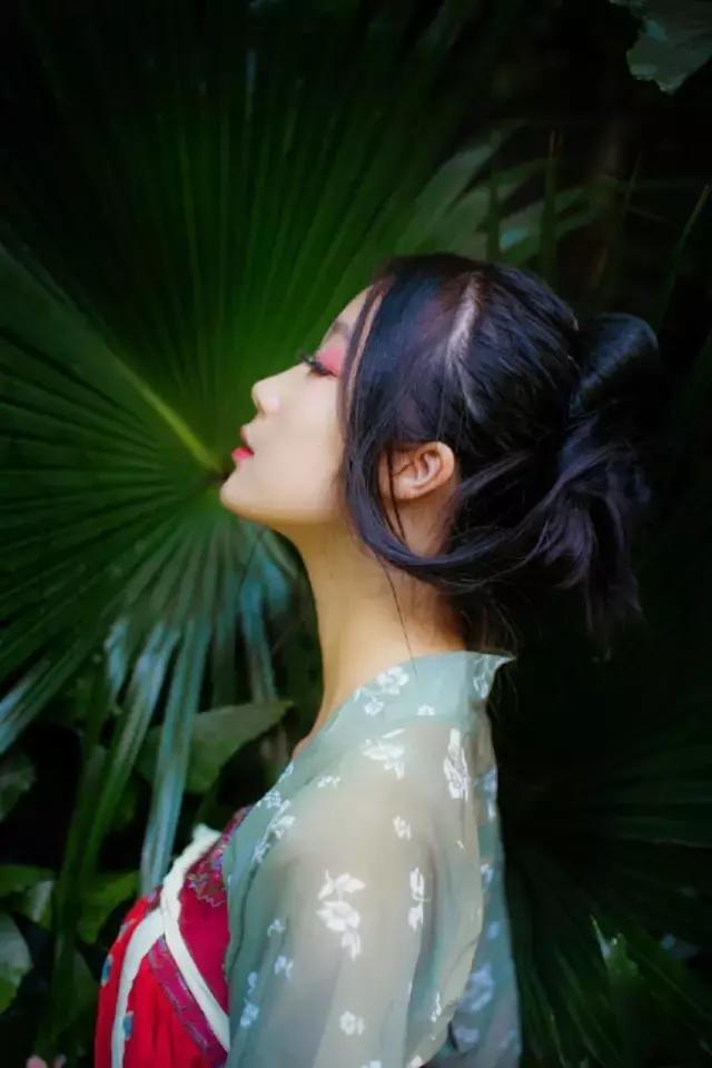 汉服之美谓之华作文,汉服之美的文章