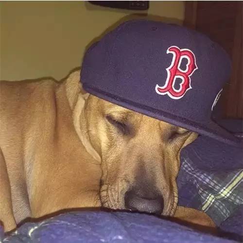 棒球帽有哪些队标,棒球帽代表哪个队