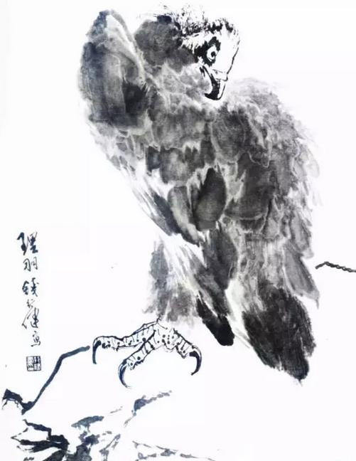 国画之鹰作品大全大图,国画大写意鹰图片大全
