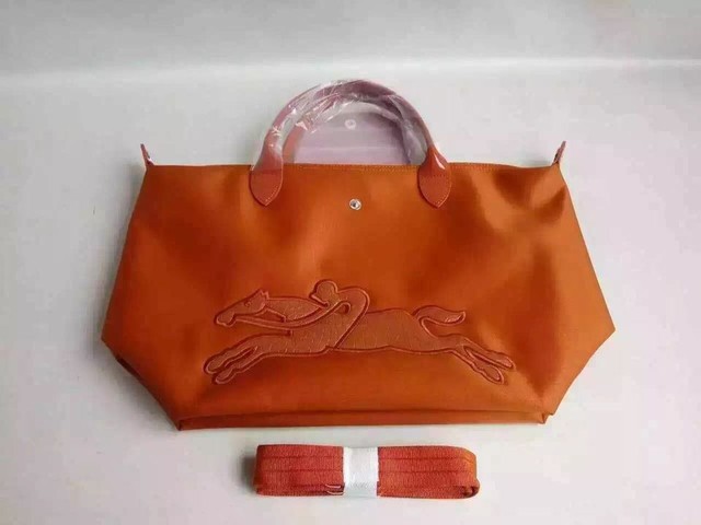 longchamp饺子包耐用吗,longchamp饺子包辨别真假