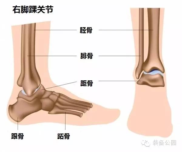 你真懂接地气的“玩意”吗？如何去爱护它？