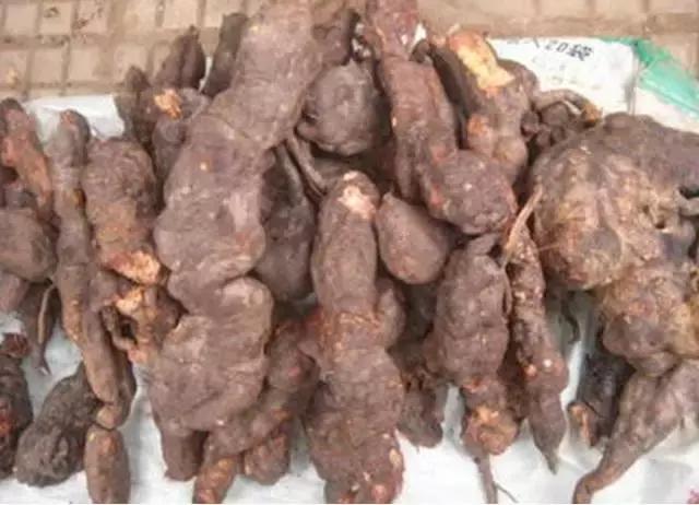 听说你产后头发掉得厉害？这里有药不弃疗