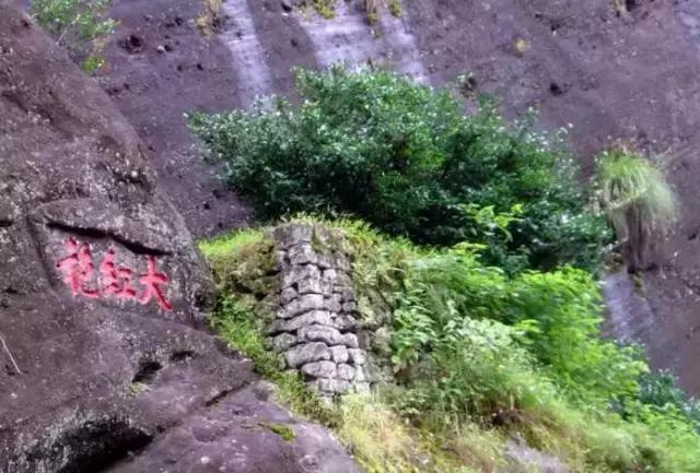 2003普洱茶最贵生茶,最贵普洱新茶排名前十