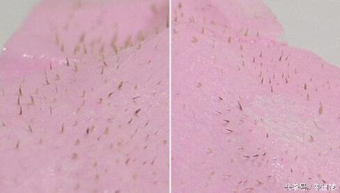 每树美品化妆品口碑好吗,口碑最好的直销化妆品