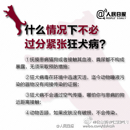 怎么知道狗携带有狂犬病毒,咋样知道有没有狂犬病发作