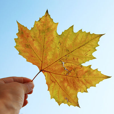 ​天呐，居然有人用蜗牛干这个......爱美人士必看！