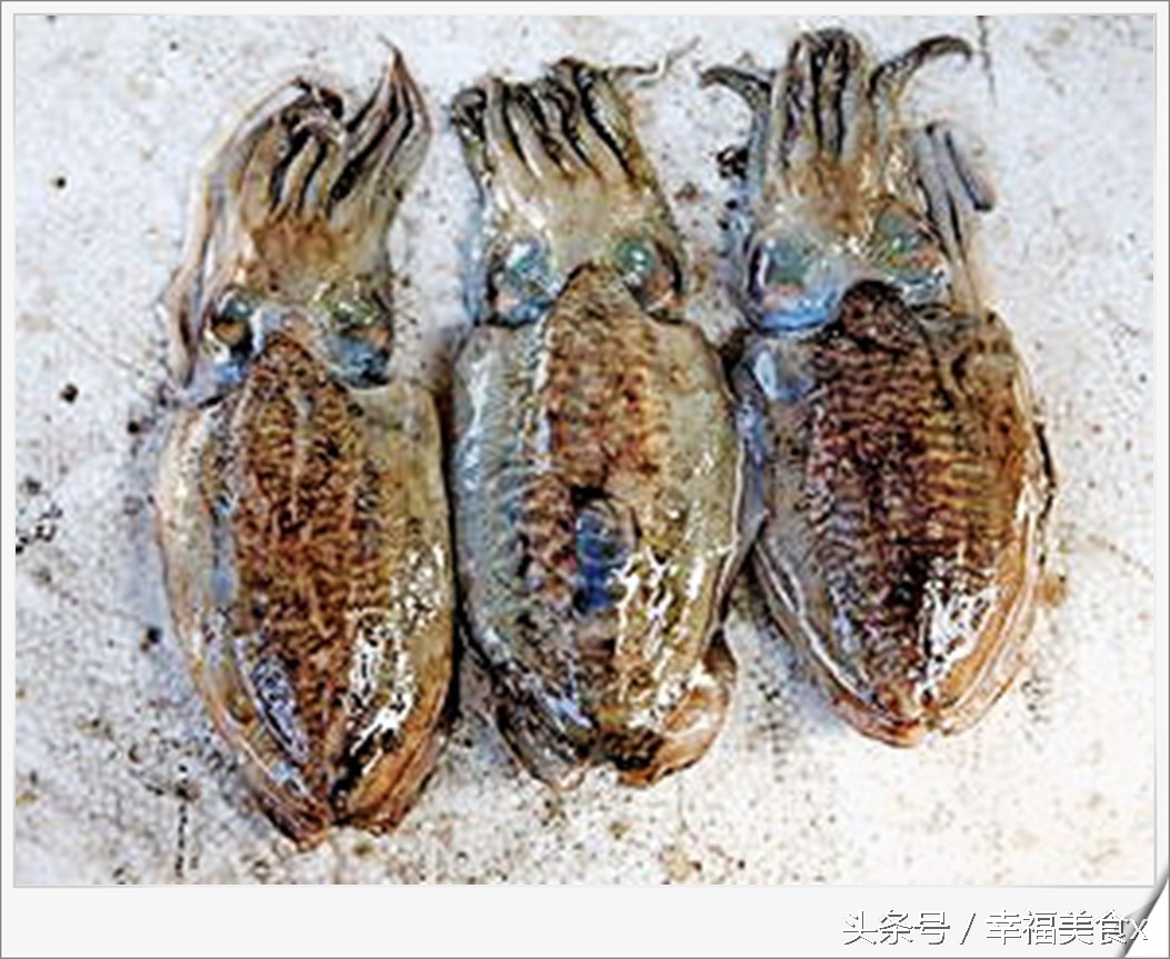 开海后去海边看的第一波海鲜,开海季鲅鱼带鱼