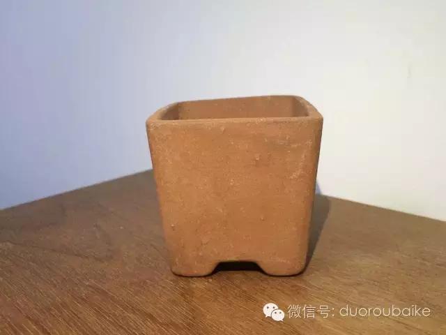 手绘多肉花盆教程,多肉花盆迷你拇指盆手绘