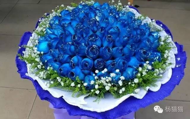 11朵玫瑰代表什么寓意,11朵玫瑰花语的含义