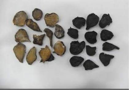 涓嵂榛戦檮瀛愬浣曠厧,涓嵂澶ч檮瀛愮殑鍒悕