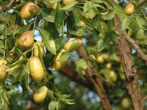 上海迪士尼六月份票价,上海迪士尼一月份票价