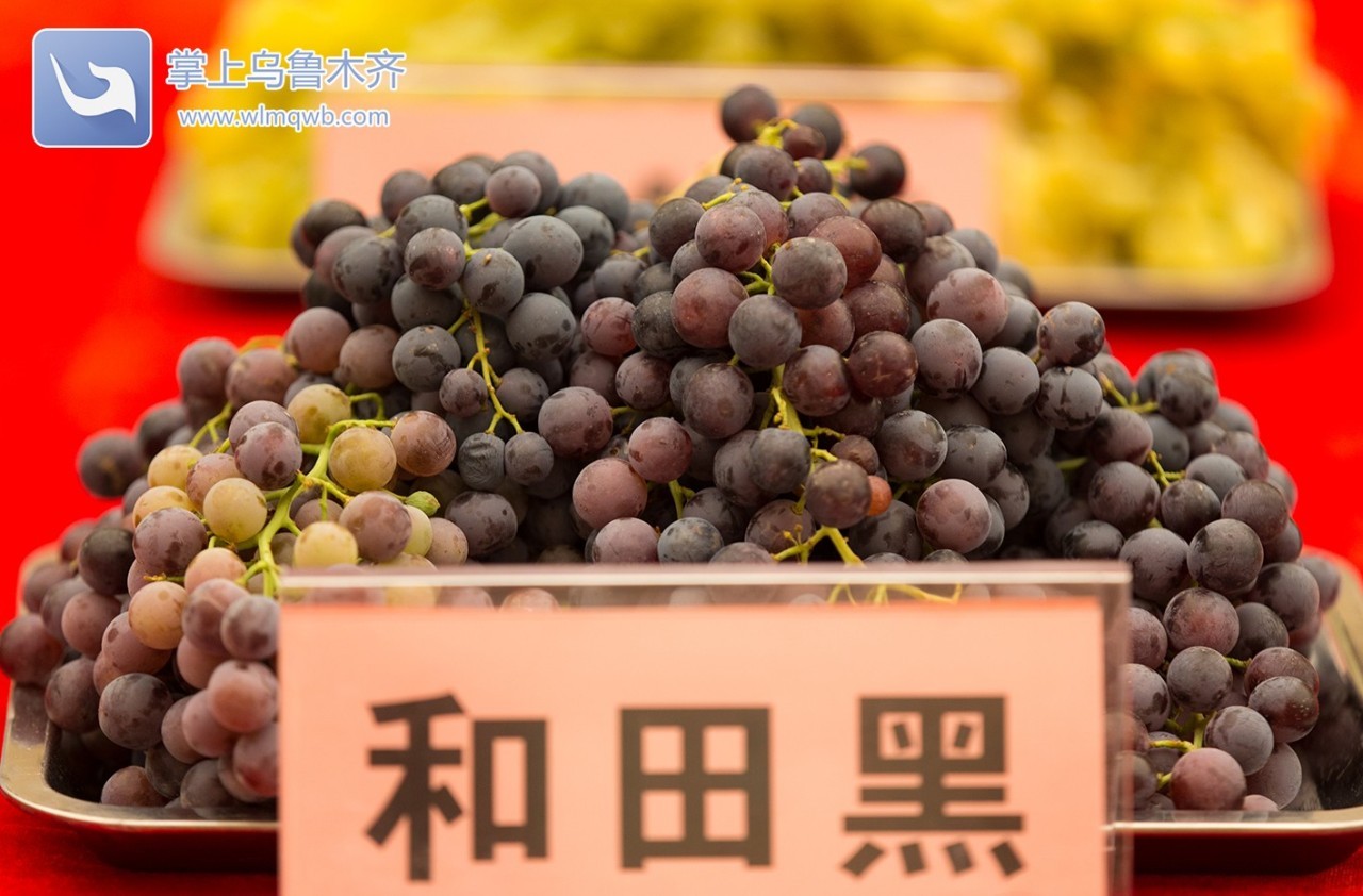 自带花香味的葡萄你吃过吗,吃葡萄不吐葡萄皮的葡萄怎么挑