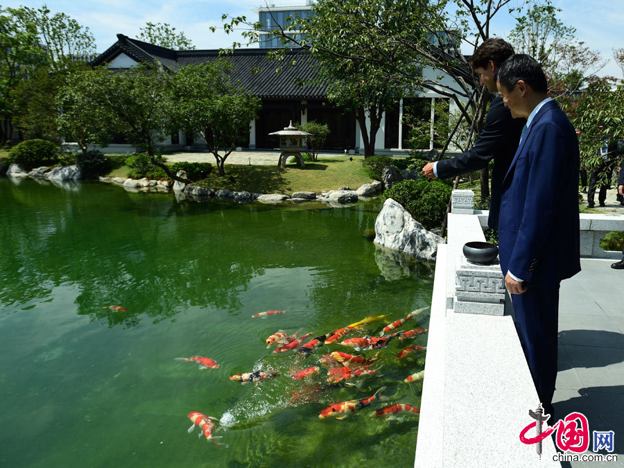 加拿大网红总理上天猫卖“国宝”