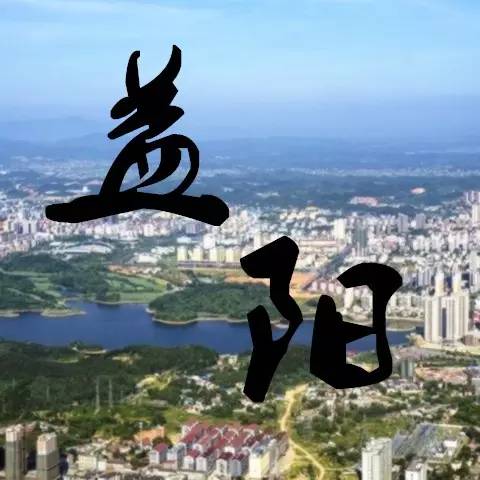 我市启动志愿者服务春运暖冬行动,春运志愿服务暖冬行动招募