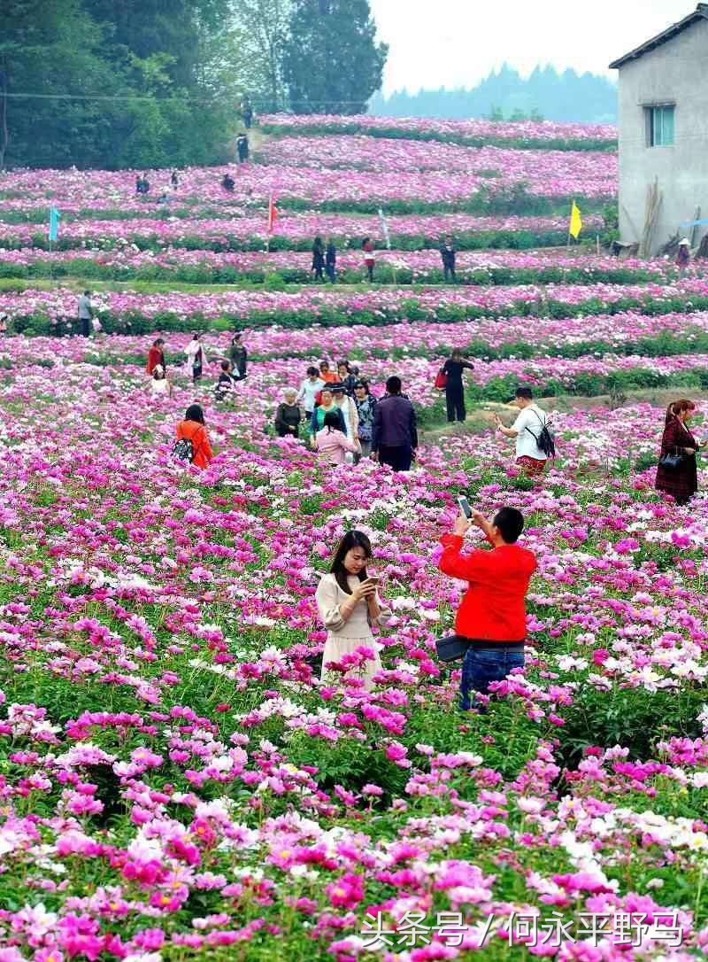 蔡维祥：发展好产业带来好“钱途”