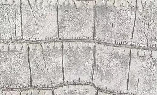 哪里买chanel包包,chanel购物包包值得买吗