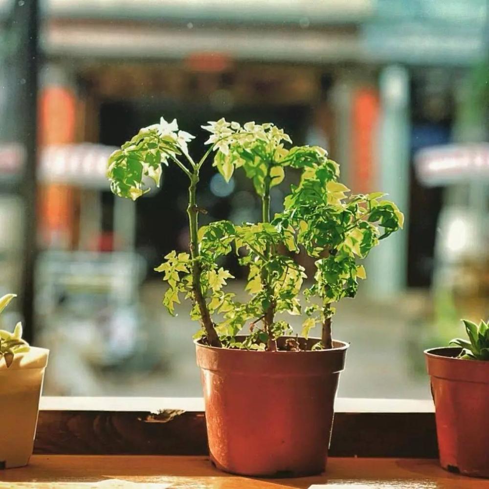 这位帅哥开着民宿却不好好做生意天南海北收藏好物分享给游客