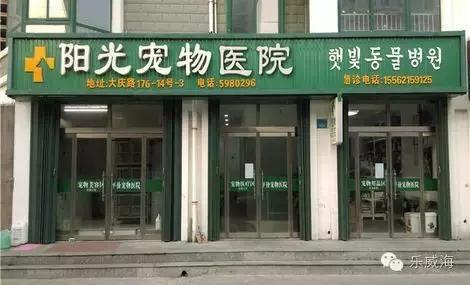 威海最全的宠物店汇总!喵奴汪主人还不速速收藏!