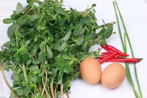 路边不起眼的刺苋,在田间地头采的马齿苋可不可吃