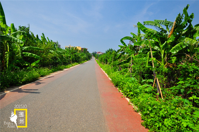 涠洲岛的浪漫旅行,和你去浪漫的涠洲岛