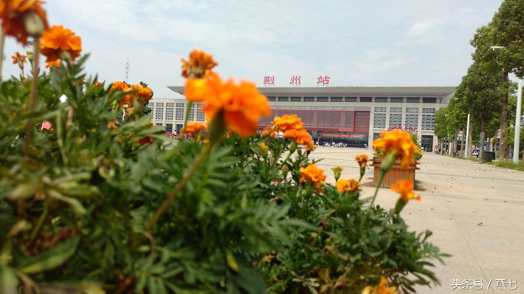 中兴天机7新品发布会视频,中兴天机七手机