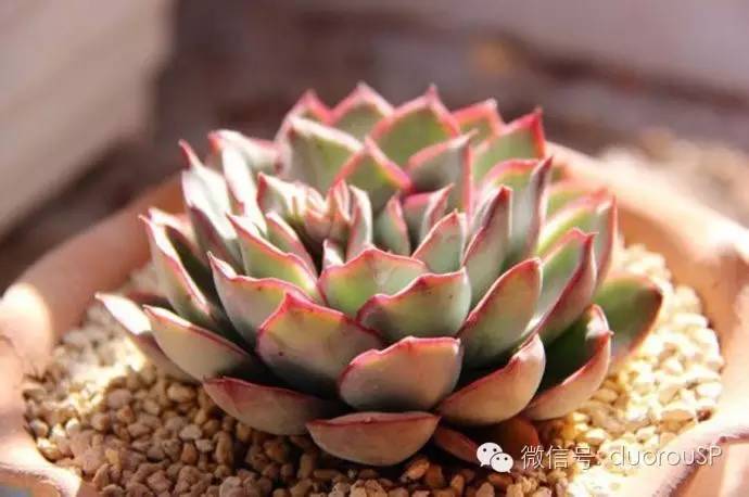 中秋送礼送水果可以吗,中秋送礼除了螃蟹还可以送什么