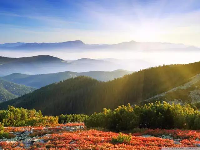 白露节气养生知识大全,节气白露养生的小知识