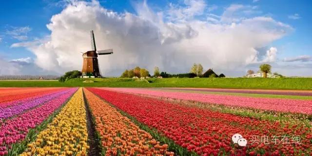 在风车王国买电动车是种什么样的体验？