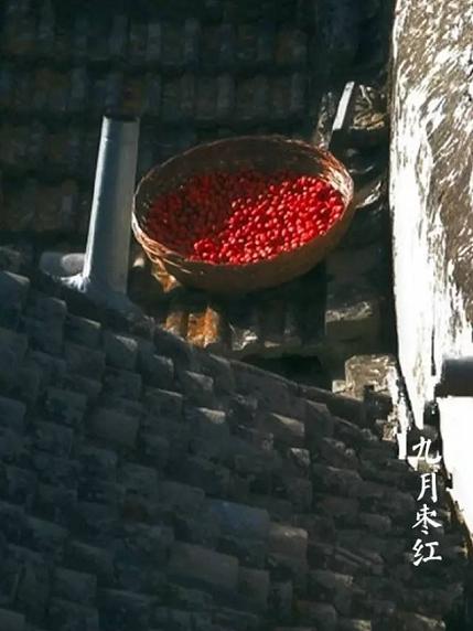 白露节气饮白露茶,暑退凉风起闲饮白露茶