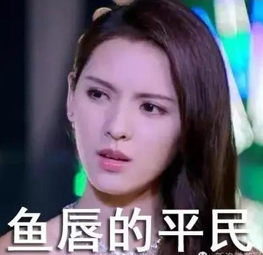 王思聪网红女友脸,王思聪网红前女友雪梨