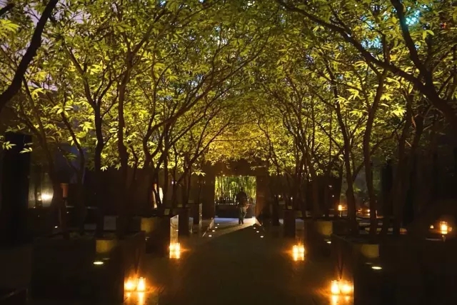 神会玩,去香港必去的酒店推荐