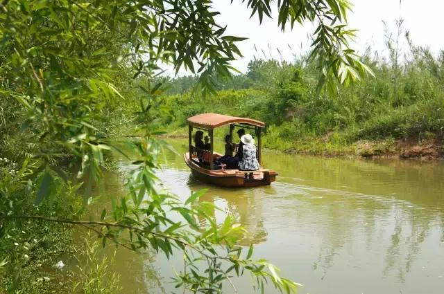 凤凰岛把公园还给你,你还欠自己一次隐居