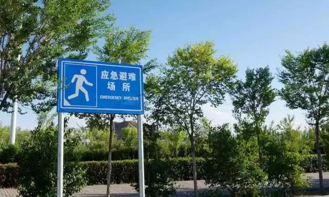 成都五年后会是怎么样,五年后的成都美景