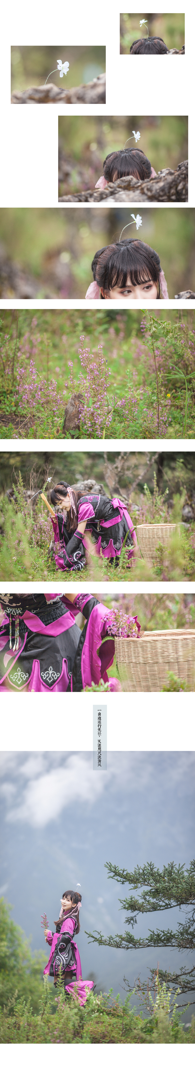 剑网三清风晓月,剑网三秋月清风