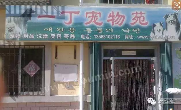 威海最全的宠物店汇总!喵奴汪主人还不速速收藏!