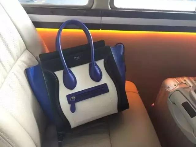 赵薇舒淇周迅汤唯,赵薇舒淇小燕子