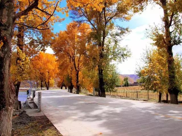 到底是去西藏还是去川西,西藏与川西这辈子总要来一趟吧