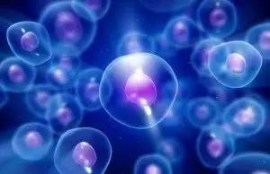 液体活检的“太子”们:ctDNA与CTC