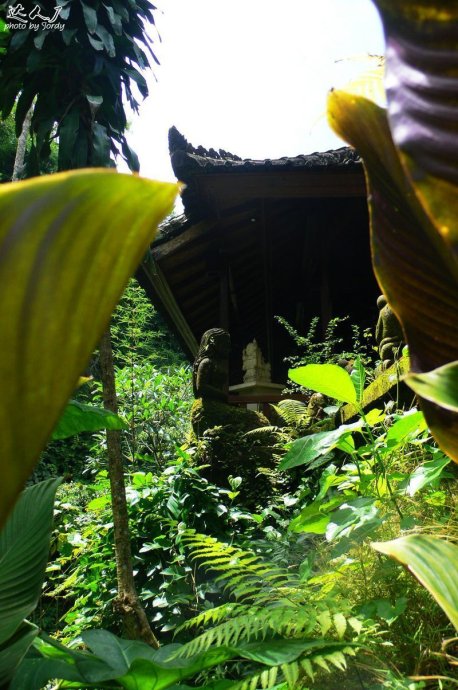 巴厘岛日常艺术照,巴厘岛顶级艺术