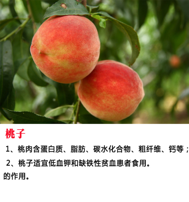 1种水果治1种病，比吃药管用多了！