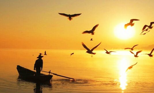 云南九大高原湖泊水质稳中向好,云南九大高原湖泊排名