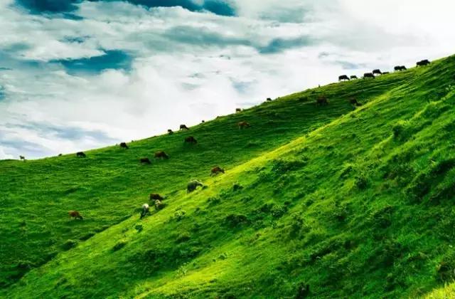 广东的草原在哪,广东附近哪里有草原