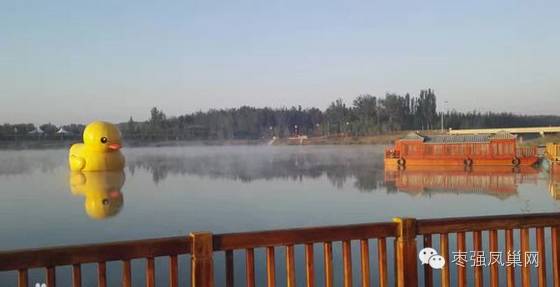 枣强风景视频,枣强县风景图片