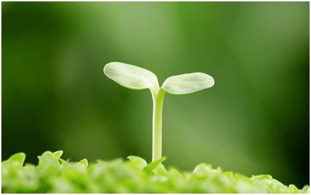 先定一个可以实现的小目标,跟孩子一起制定一个小目标