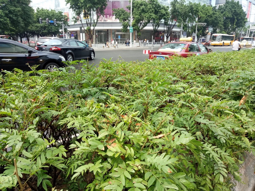 魅蓝u20值得入手吗,魅蓝u20好用么