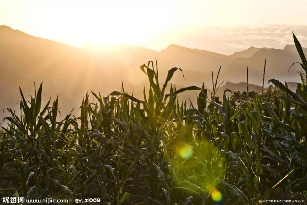 观察型无人机,观测式无人机