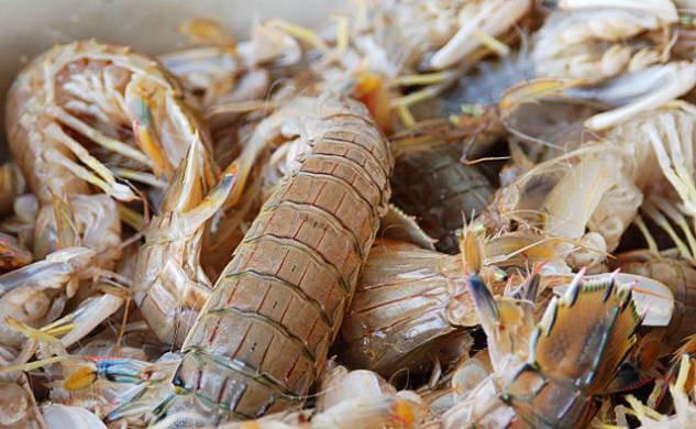 沈阳到西安高铁多少小时,沈阳到西安的高铁需要多少时间